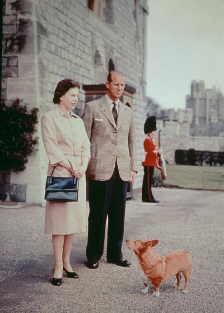 Елизавета II и принц Филипп с одним из своих корги в Виндзорском замке в Беркшире, 1959 