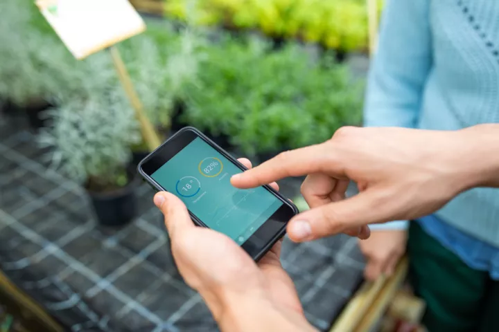Уход за растениями с помощью мобильного приложения Gardenia.