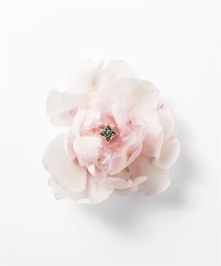 <b>лв цветы</b>