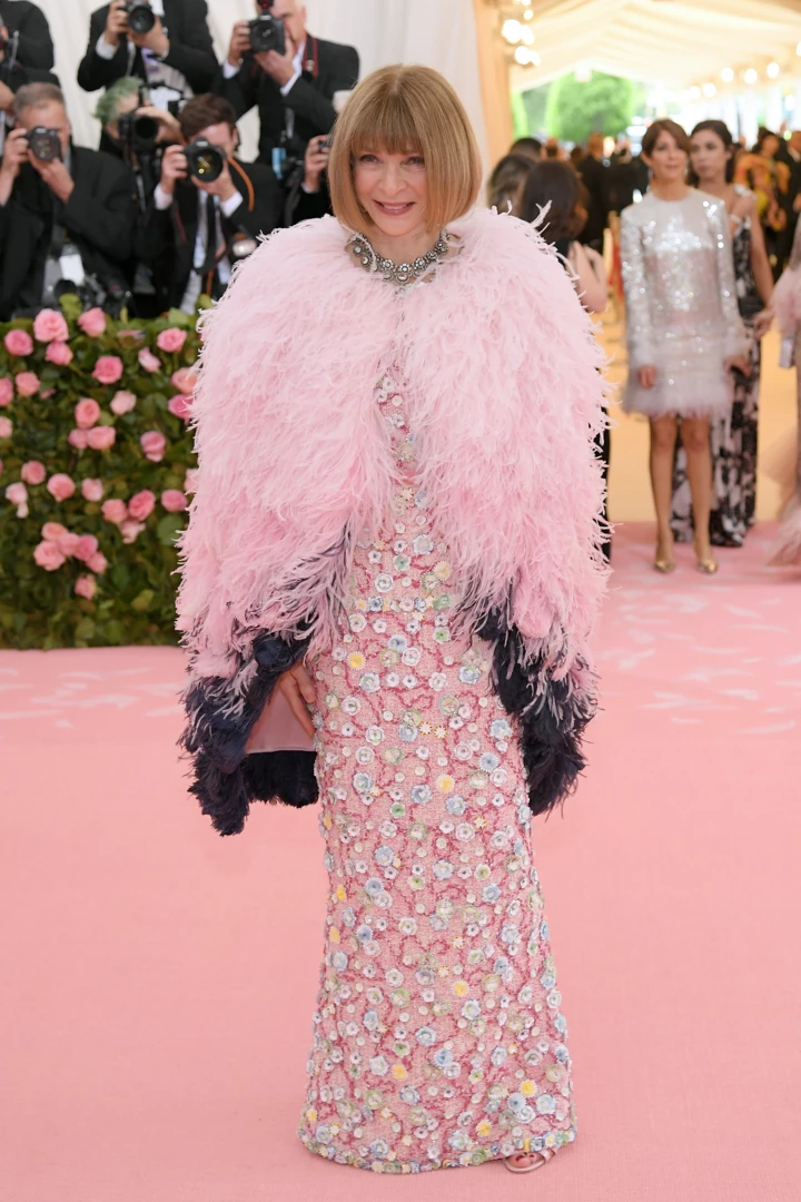 &lt;b&gt;Met Gala 2019. Red carpet&lt;/b&gt;