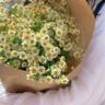 П'ять найцікавіших ароматів з ромашкою