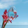 Аромат із місією: новий головний аромат літа KENZO L’Eau Pure
