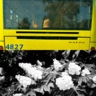 Особливі й особисті кадри Києва від українських фотографів