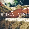 Салонные страсти: рекламная кампания Bottega Veneta весна-лето 2021