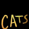 10 интересных фактов о мюзикле "Кошки"