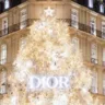 Як створювали різдвяну ілюмінацію для бутіка Dior в Парижі