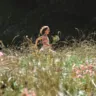 Наталі Портман у новому мініфільмі Miss Dior Eau de Parfum
