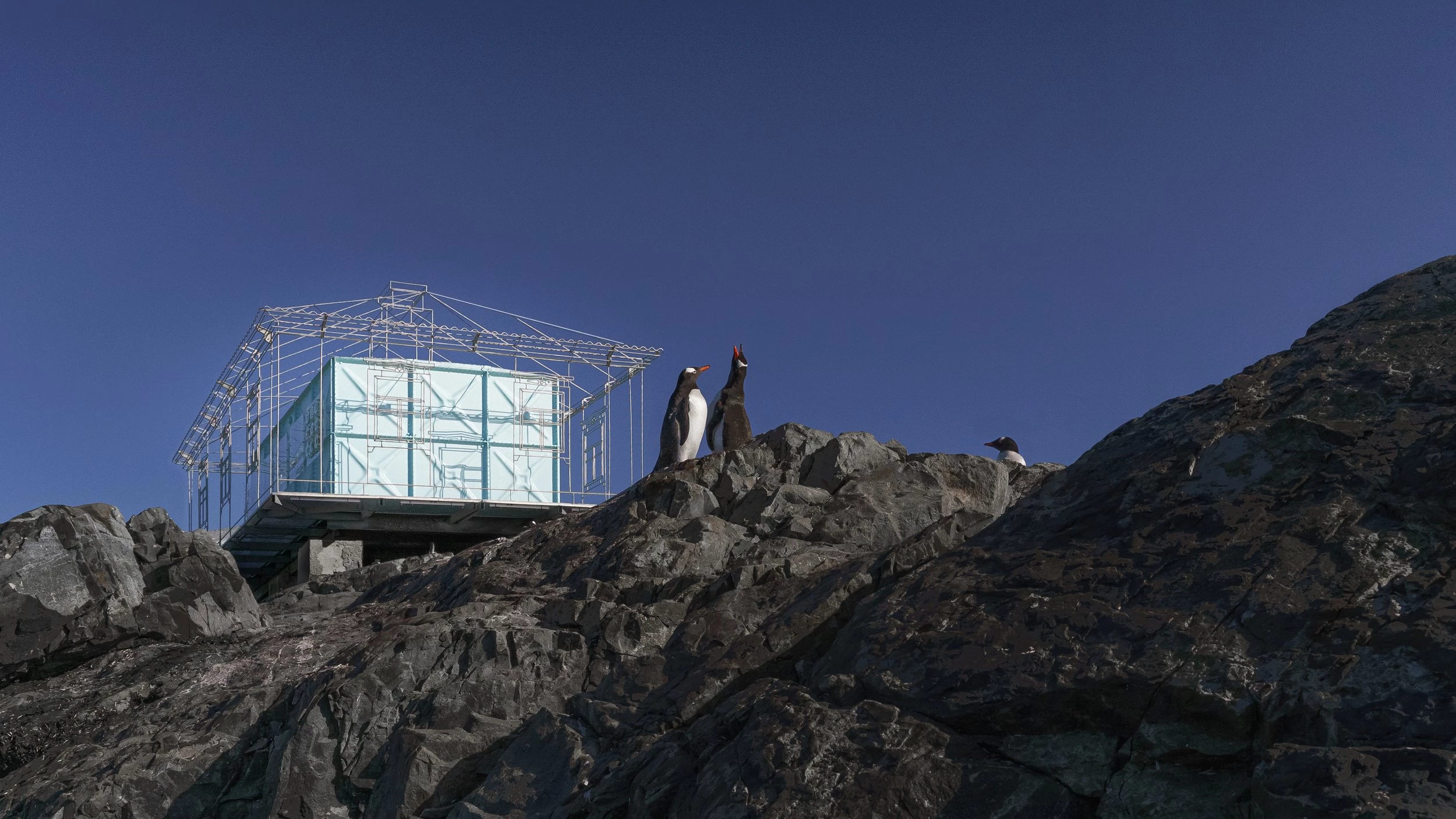 "Дім. Спогади" – інсталяція на антарктичній станції "Академік Вернадський"