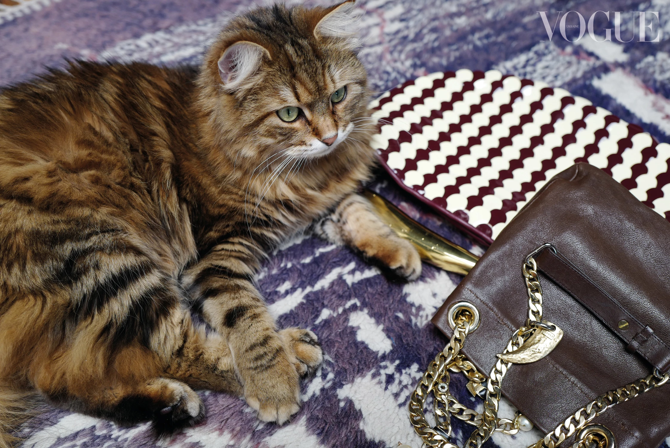 Шкіряна сумка, Bottega Veneta Шкіряна сумка, Bottega Veneta