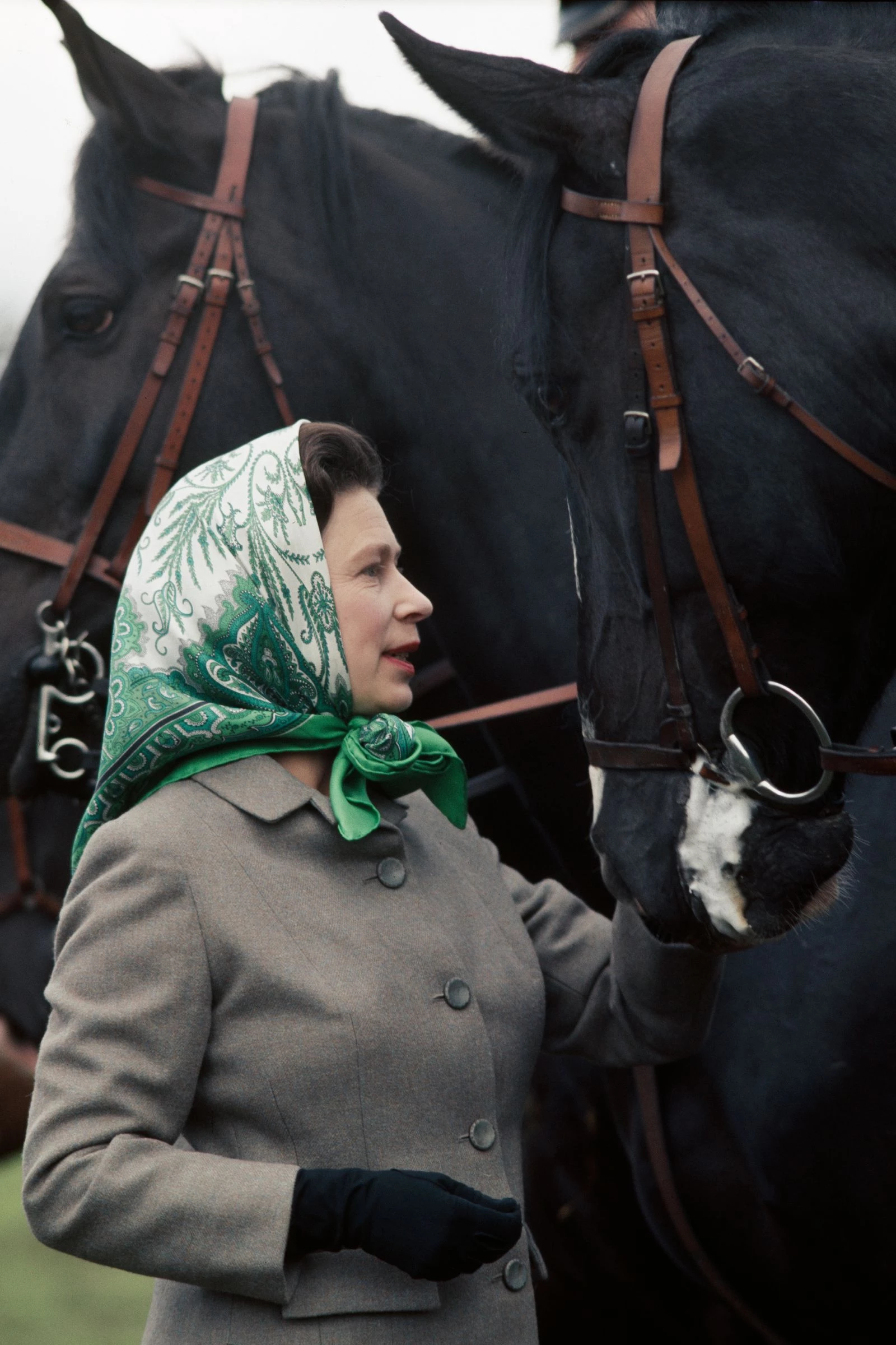 Королева Єлизавета ІІ. Tim Graham/Getty Images