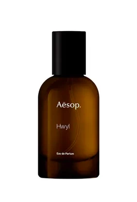 Hwyl, Aesop