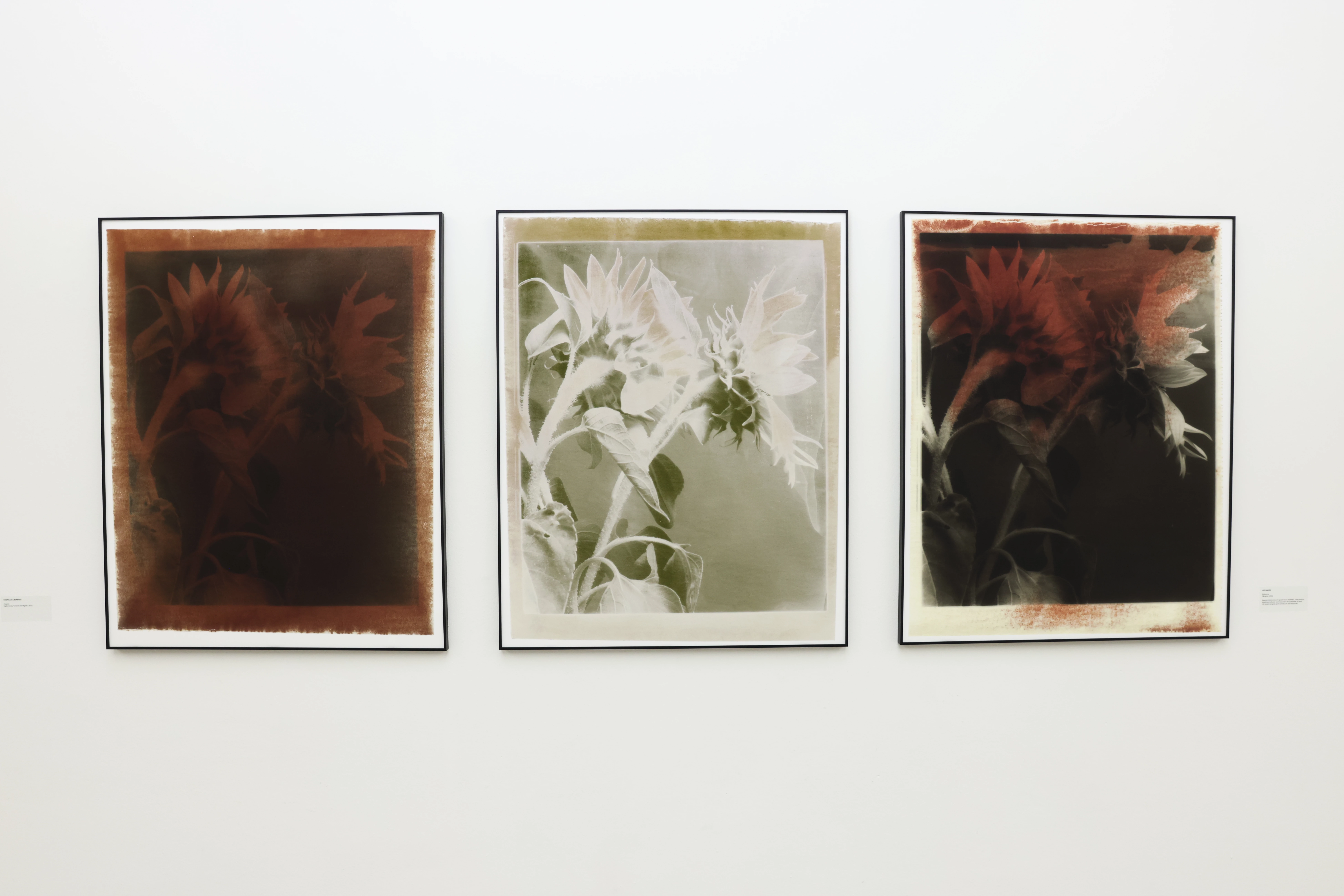 Фото: Вік Бакін