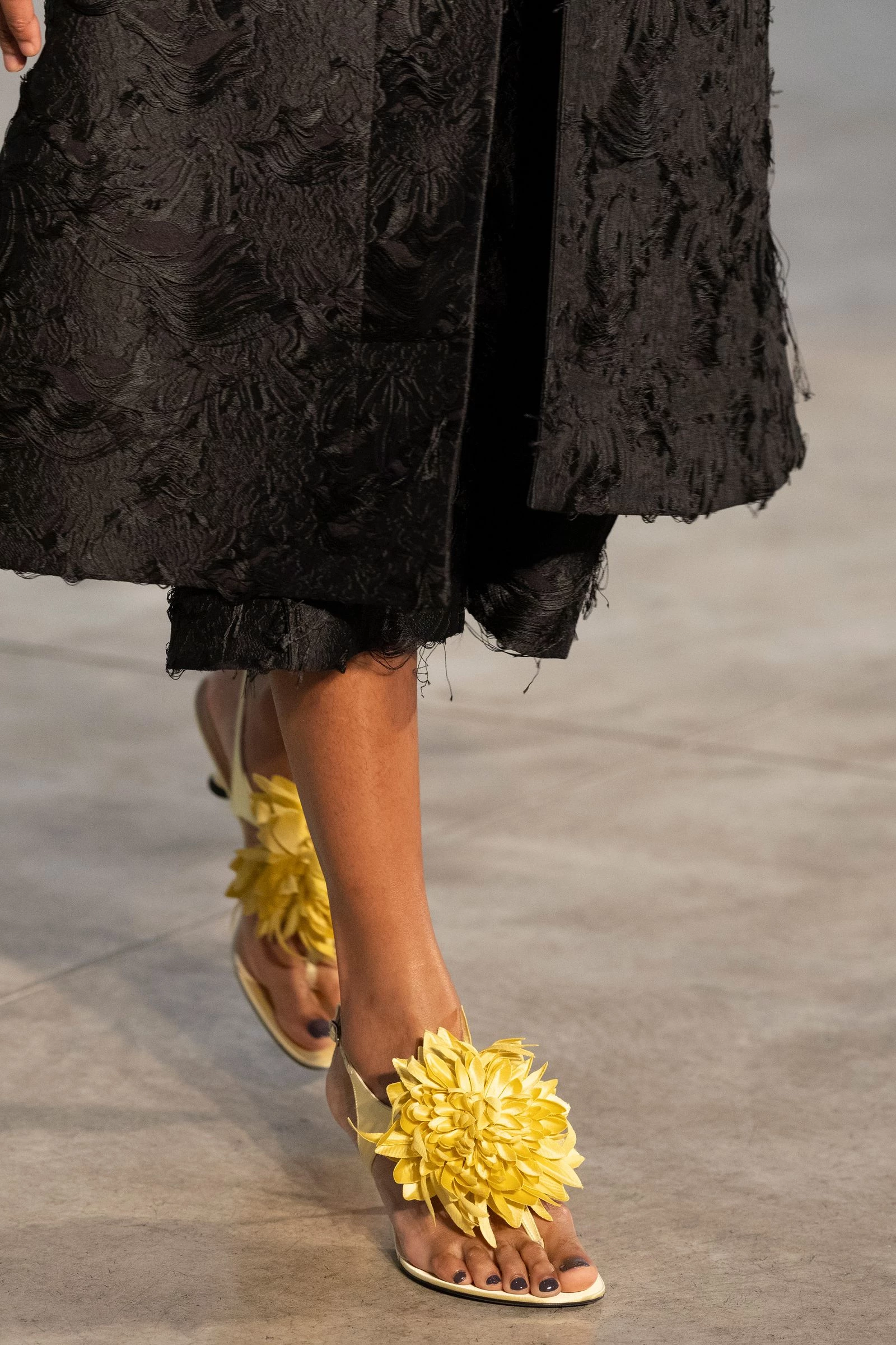 Proenza Schouler Proenza Schouler