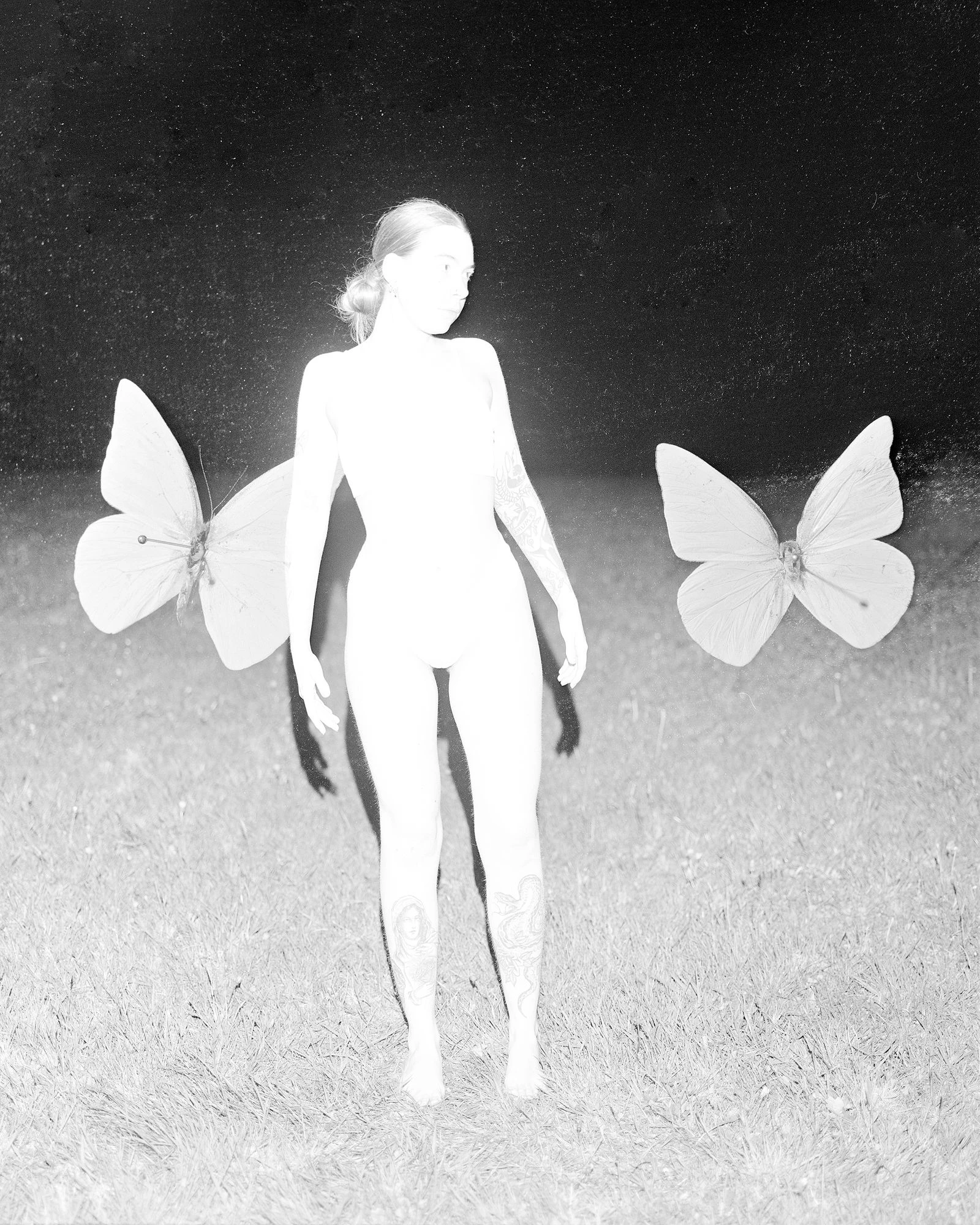 Фото: Alice Poyzer