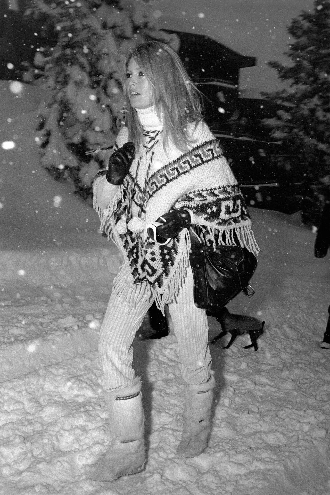 Бріжит Бардо