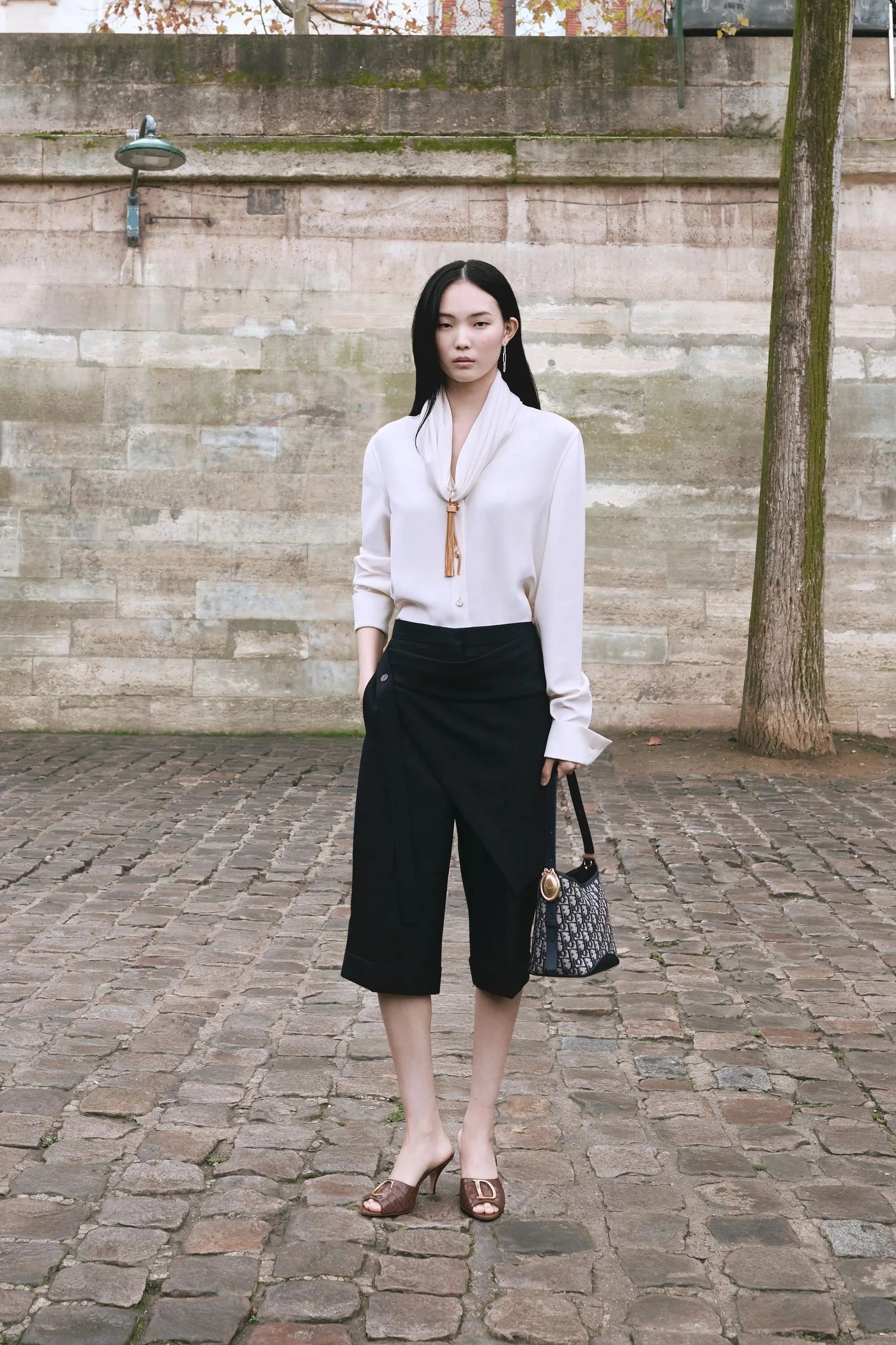 Christian Dior Pre-Fall 2026