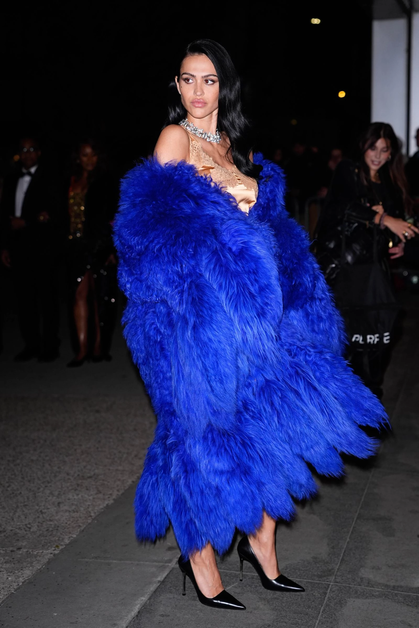 Амелія Грей 