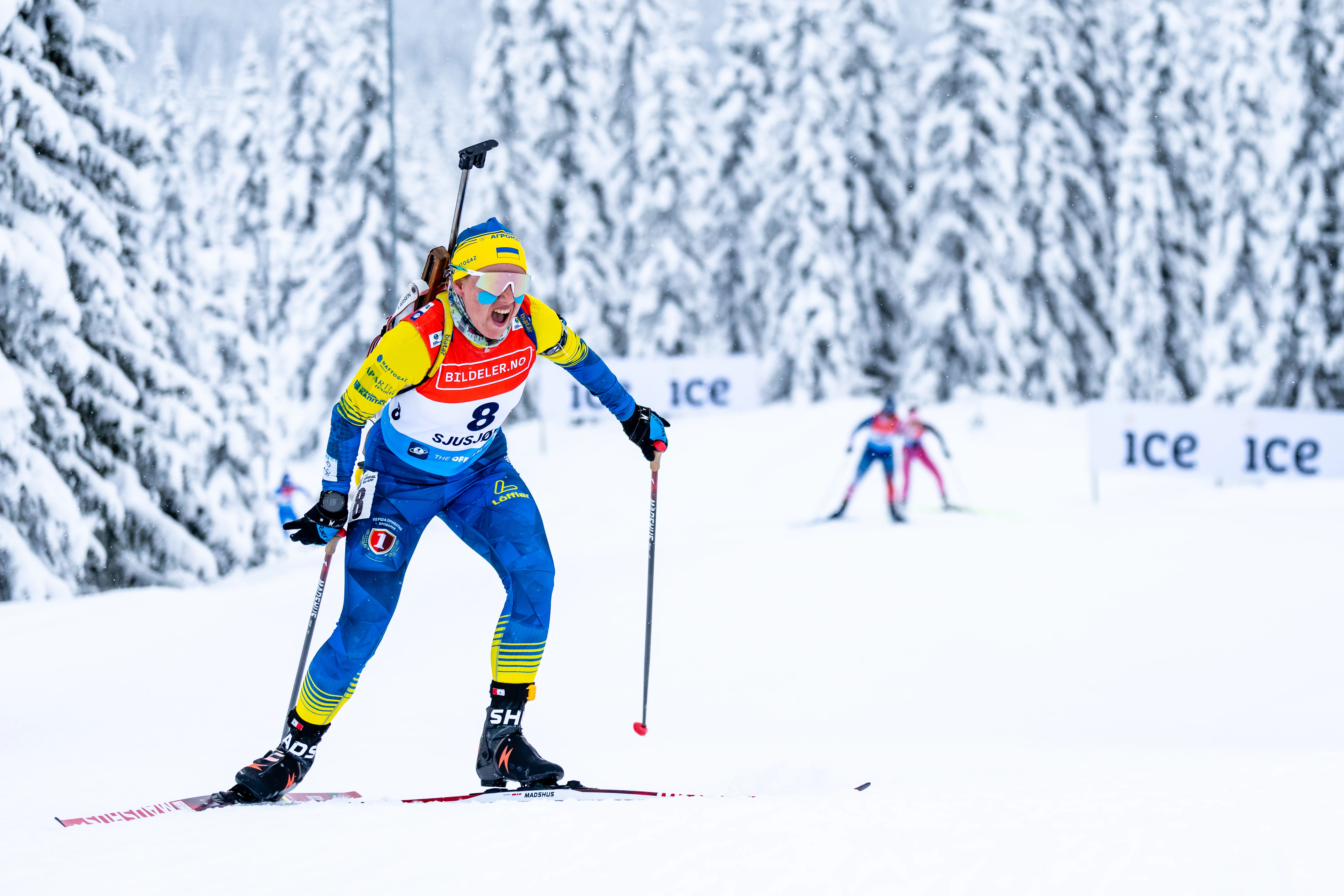 Анастасія Меркушина