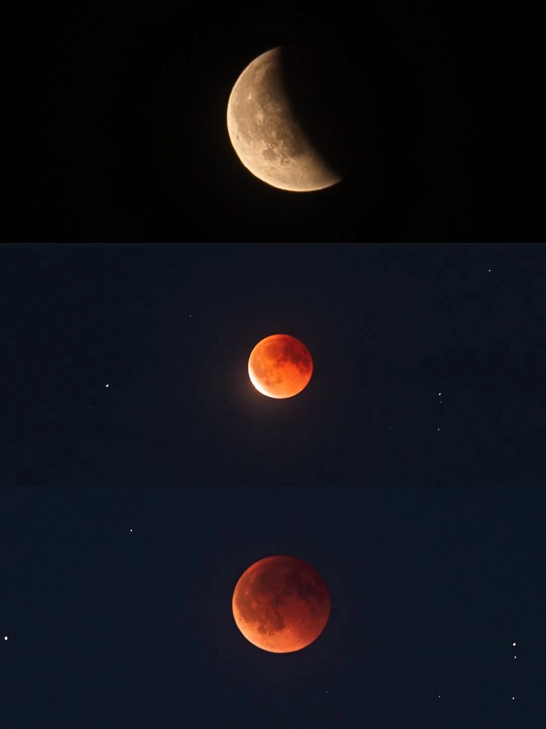 @judy.art.and.nature