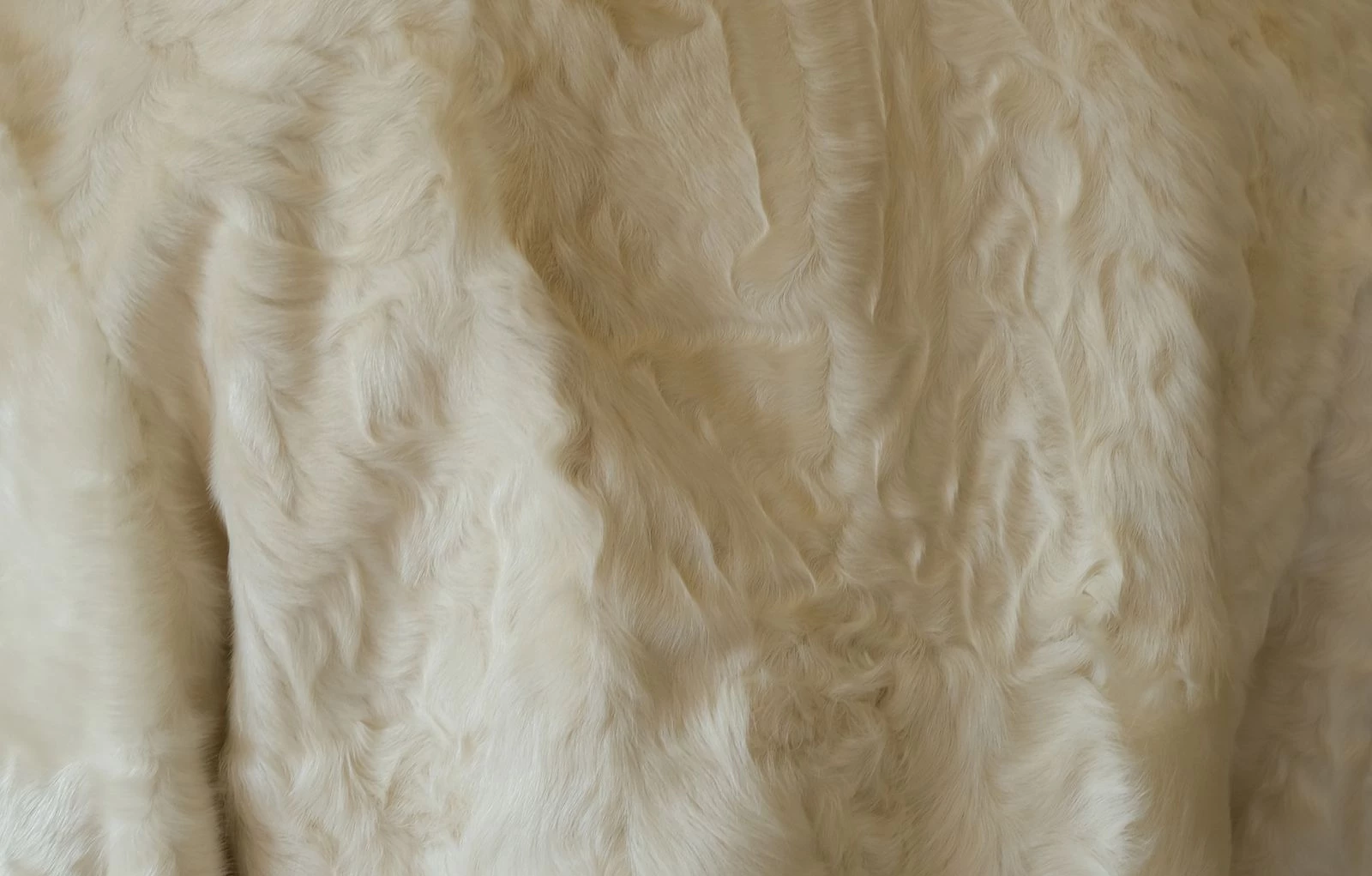 Легкі, майже невагомі матеріали — один із ключових акцентів. На фото — козячий ворс. Photo: Alma Libera