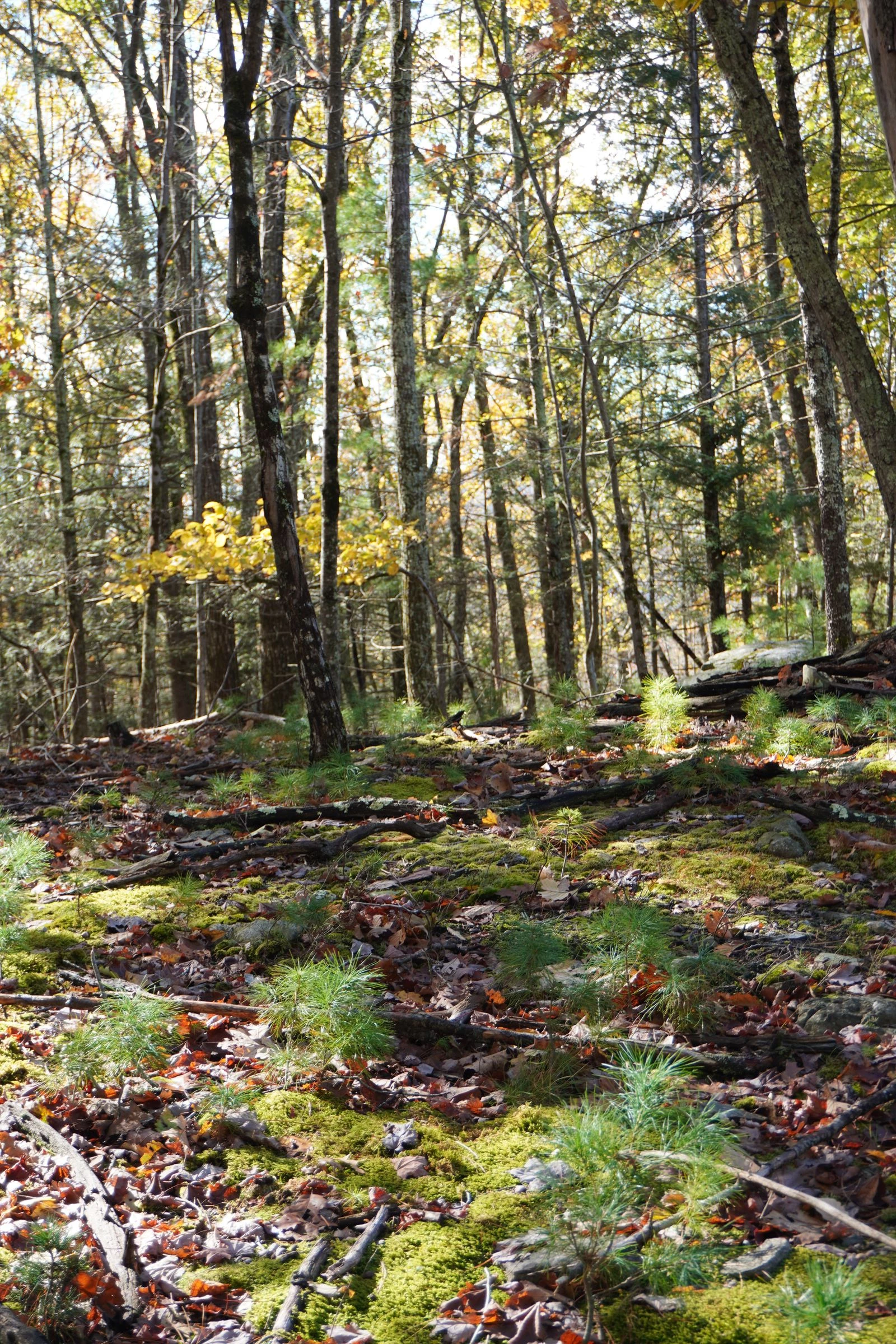 Photo: Courtesy of Marissa Angell 