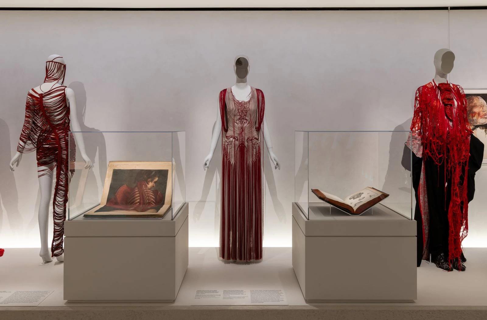 Розділ Vital Body, присвячений живому тілу. Фото: © Anna-Marie Kellen / The Metropolitan Museum of Art
