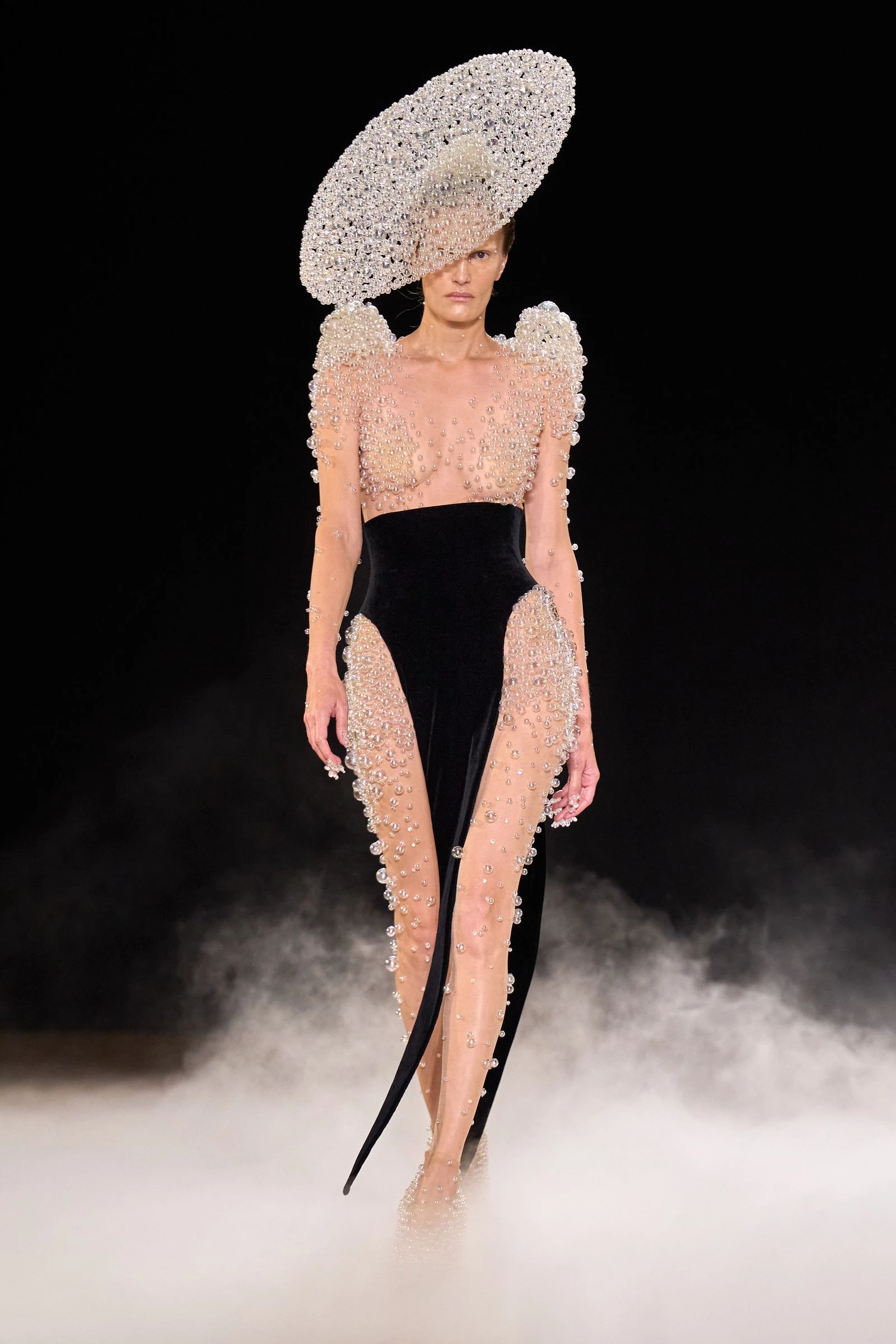 Iris Van Herpen Iris Van Herpen