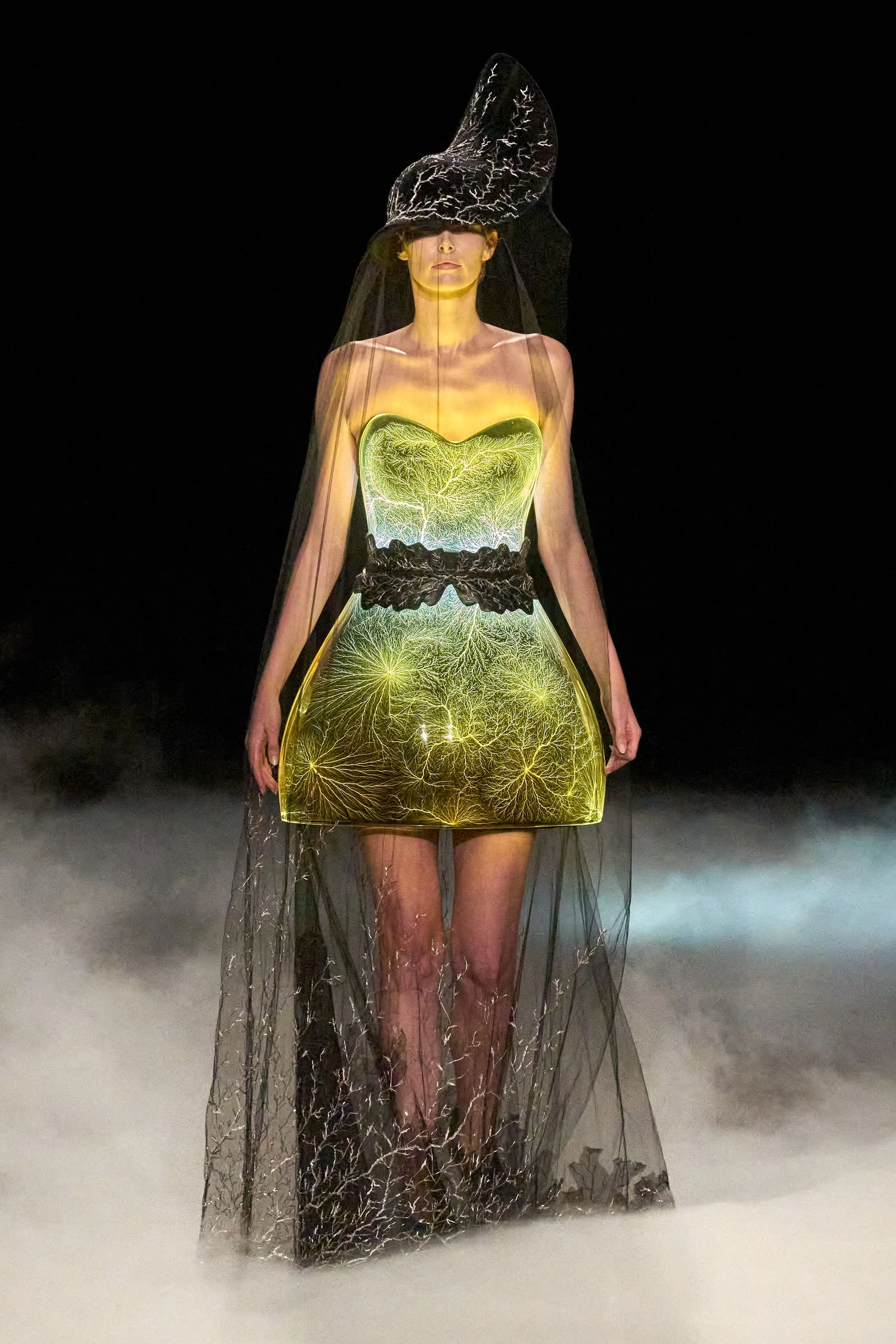 Iris Van Herpen Iris Van Herpen