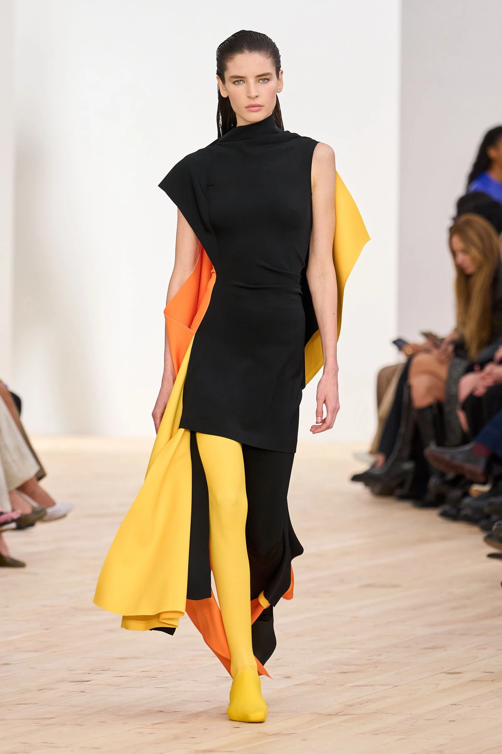 Loewe Loewe