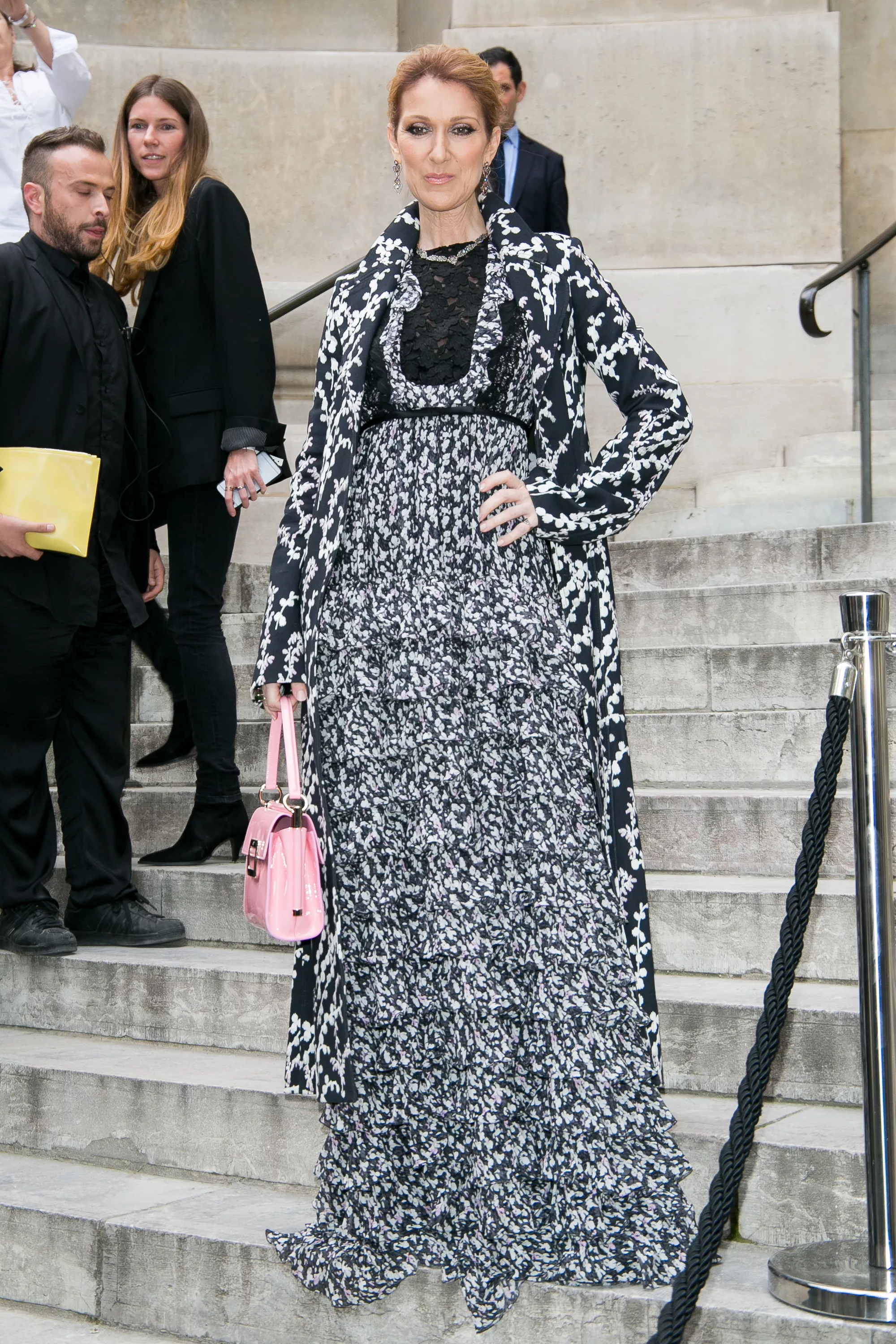  Гуляет по Парижу 